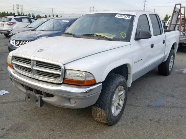 1B7GG2AN91S124502 - 2001 DODGE DAKOTA QUA WHITE photo 2