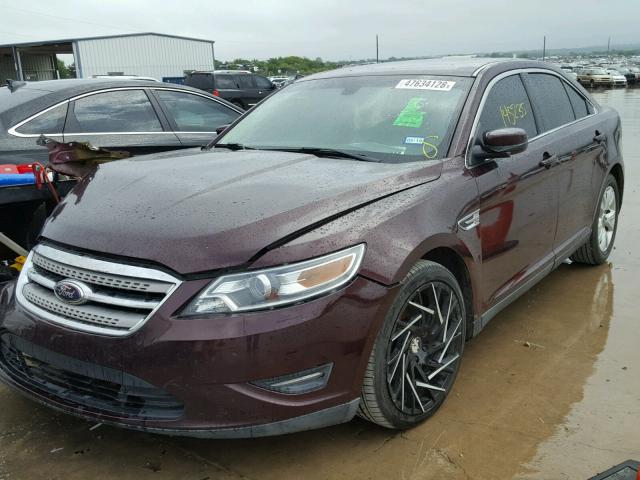 1FAHP2EW8BG183655 - 2011 FORD TAURUS SEL MAROON photo 2