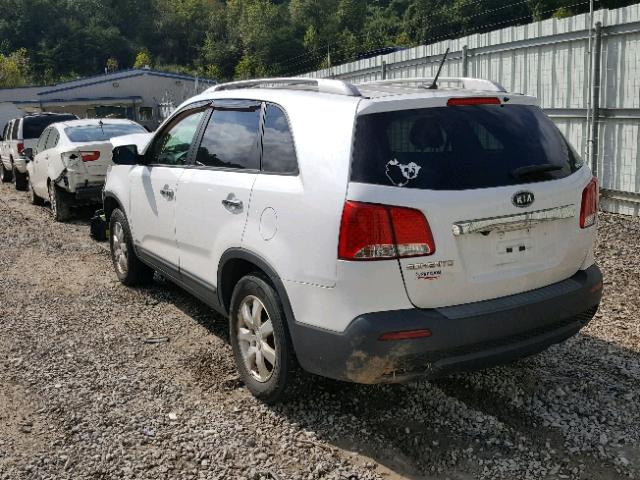 5XYKTCA19BG128341 - 2011 KIA SORENTO BA WHITE photo 3