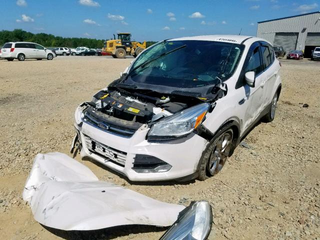 1FMCU0HX9DUD64396 - 2013 FORD ESCAPE SEL WHITE photo 2