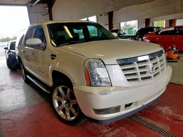 1GYFK66827R264793 - 2007 CADILLAC ESCALADE E CREAM photo 1