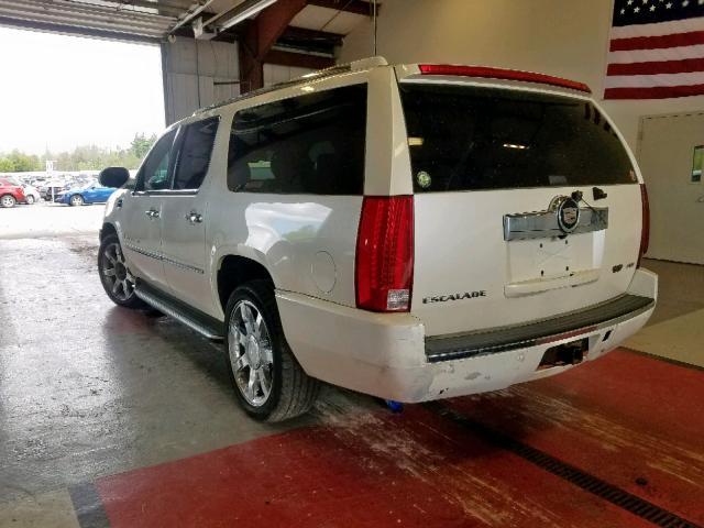 1GYFK66827R264793 - 2007 CADILLAC ESCALADE E CREAM photo 3