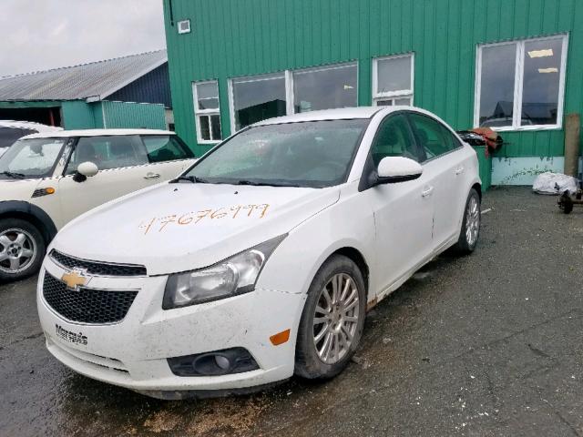 1G1PK5S92B7253258 - 2011 CHEVROLET CRUZE ECO WHITE photo 2