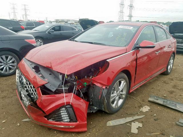 5NPE34AF6JH644274 - 2018 HYUNDAI SONATA SPO RED photo 2