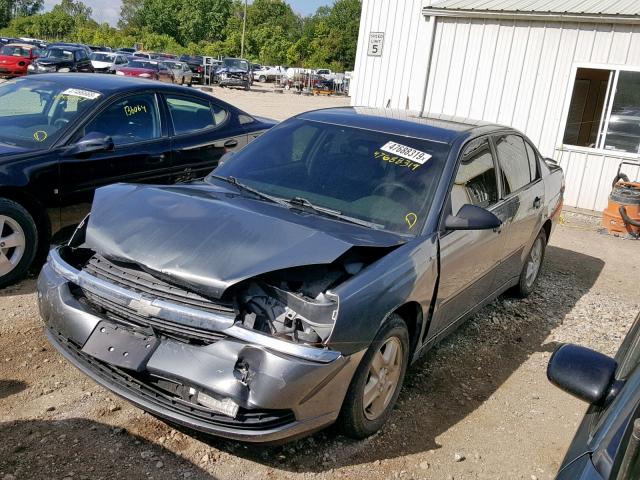 1G1ZT54884F116666 - 2004 CHEVROLET MALIBU LS GRAY photo 9