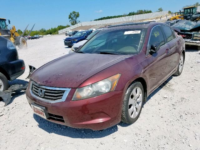 1HGCP2F86AA140441 - 2010 HONDA ACCORD EXL BURGUNDY photo 2