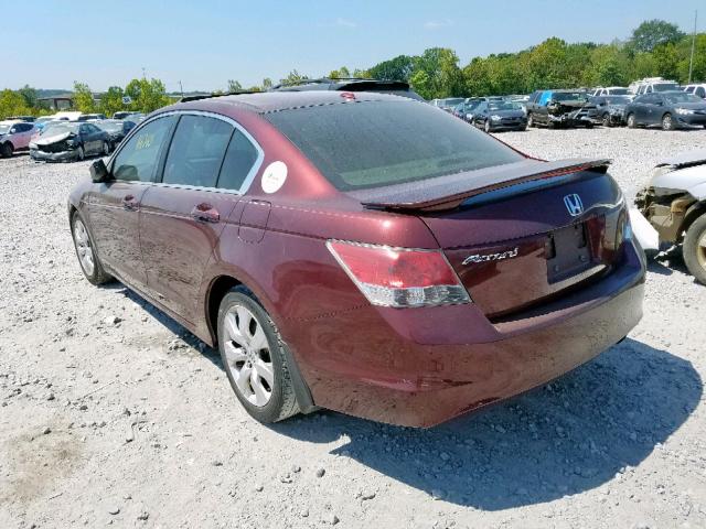 1HGCP2F86AA140441 - 2010 HONDA ACCORD EXL BURGUNDY photo 3