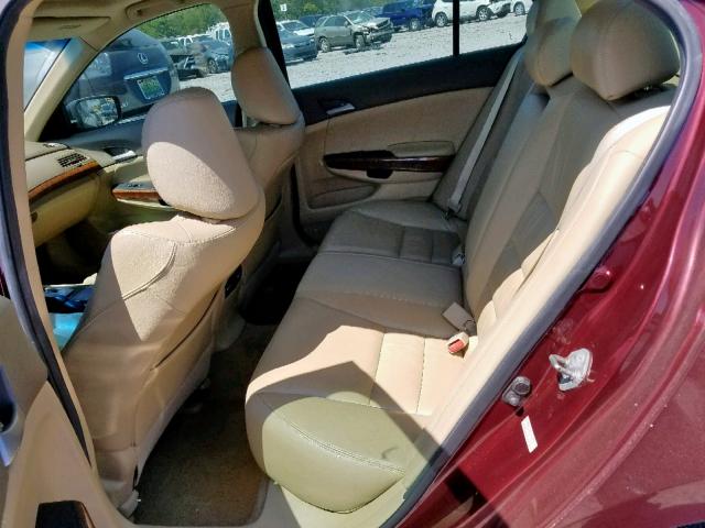 1HGCP2F86AA140441 - 2010 HONDA ACCORD EXL BURGUNDY photo 6