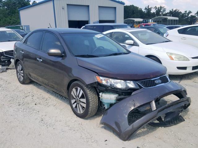 KNAFU4A29D5664518 - 2013 KIA FORTE EX GRAY photo 1