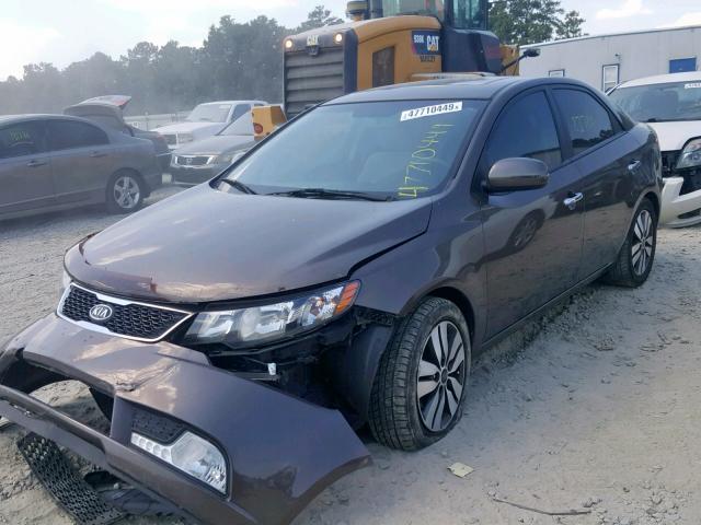 KNAFU4A29D5664518 - 2013 KIA FORTE EX GRAY photo 2