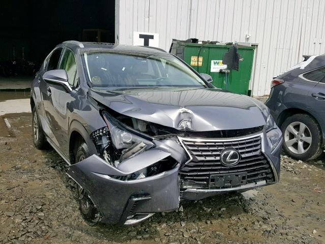 JTJBARBZ0J2173669 - 2018 LEXUS NX 300 BAS GRAY photo 1