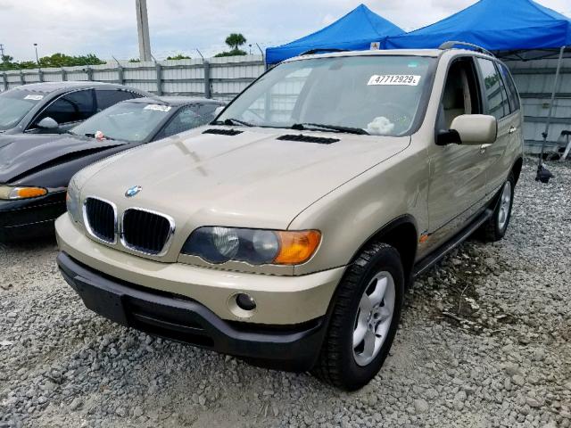 5UXFA53553LV77054 - 2003 BMW X5 3.0I GOLD photo 2