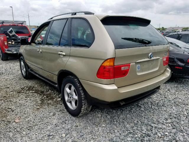 5UXFA53553LV77054 - 2003 BMW X5 3.0I GOLD photo 3