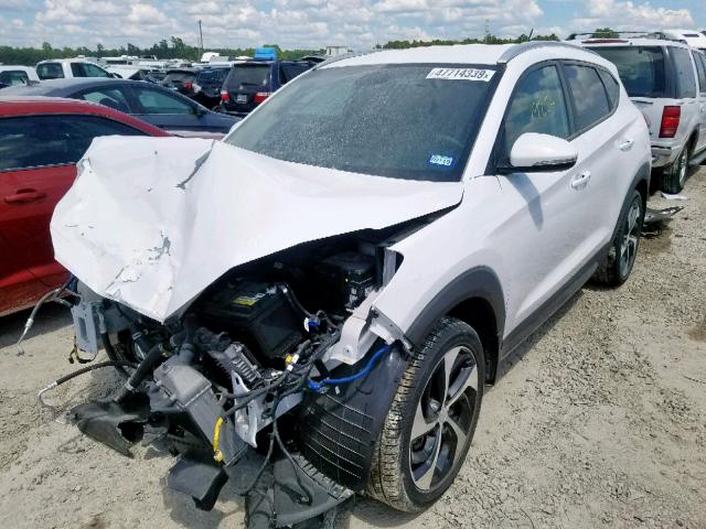 KM8J33A27GU177186 - 2016 HYUNDAI TUCSON LIM WHITE photo 2