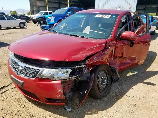 KNAFU4A27B5402204 - 2011 KIA FORTE EX RED photo 2