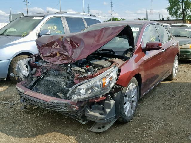 1HGCR2F8XDA261813 - 2013 HONDA ACCORD EXL RED photo 2