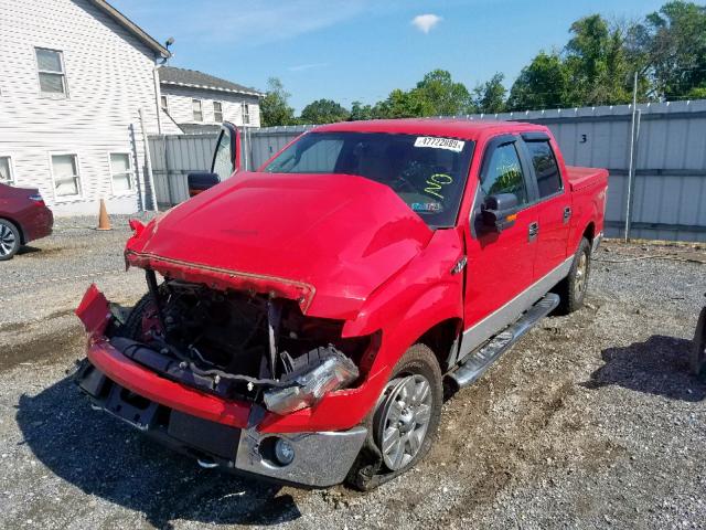 1FTEW1E84AFD74246 - 2010 FORD F150 SUPER RED photo 2