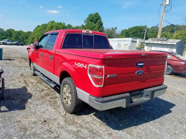 1FTEW1E84AFD74246 - 2010 FORD F150 SUPER RED photo 3