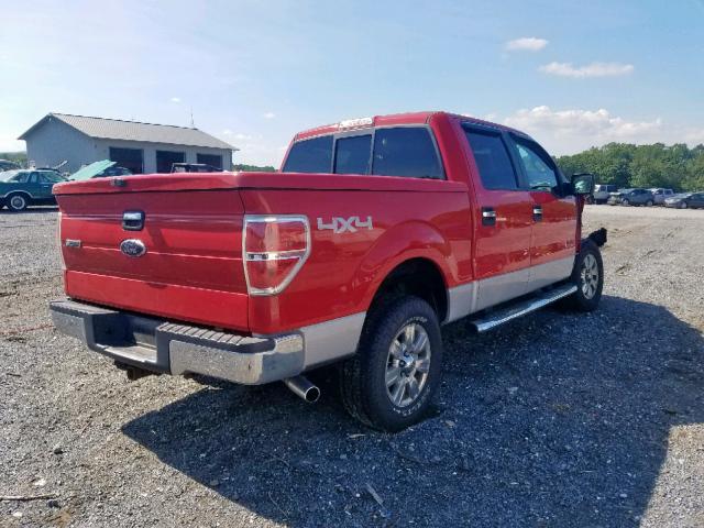 1FTEW1E84AFD74246 - 2010 FORD F150 SUPER RED photo 4