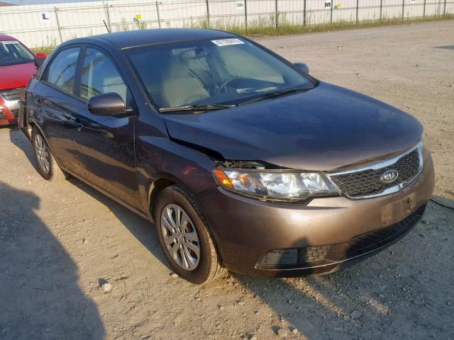 KNAFU4A21D5730365 - 2013 KIA FORTE EX BROWN photo 1