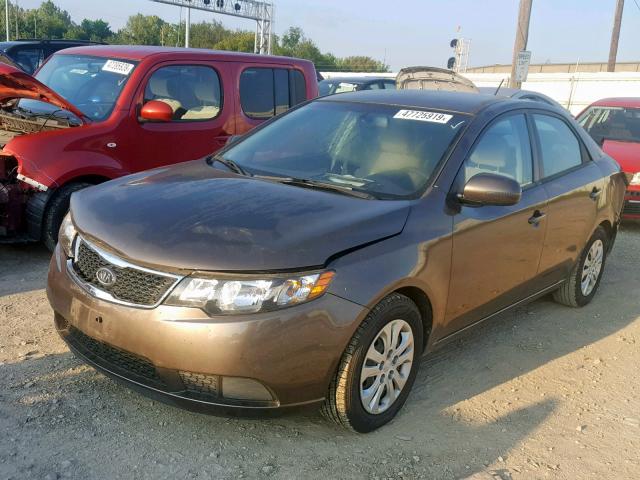 KNAFU4A21D5730365 - 2013 KIA FORTE EX BROWN photo 2