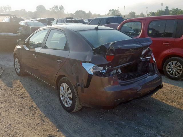 KNAFU4A21D5730365 - 2013 KIA FORTE EX BROWN photo 3