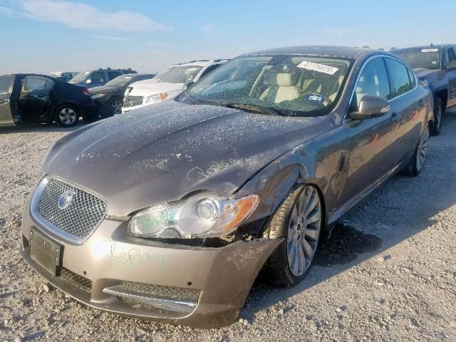 SAJWA06B39HR19748 - 2009 JAGUAR XF PREMIUM BEIGE photo 2