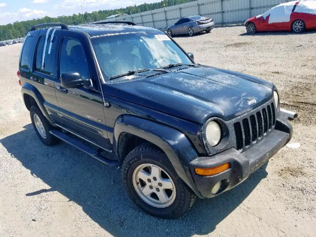 1J4GK58KX2W273128 - 2002 JEEP LIBERTY LI BLUE photo 1