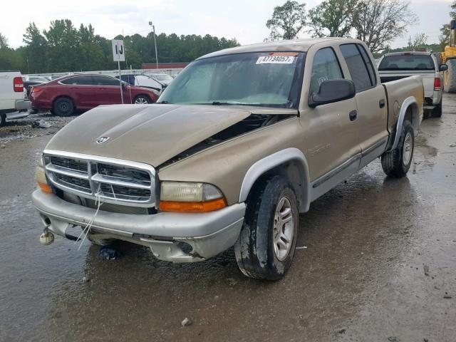 1B7HL48NX2S524944 - 2002 DODGE DAKOTA QUA TAN photo 2