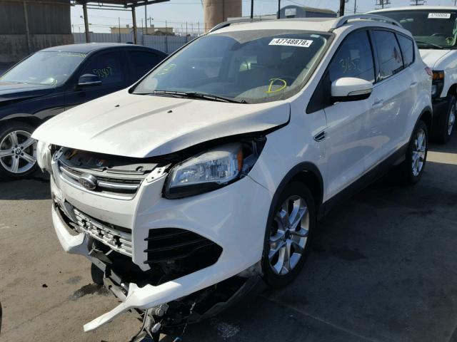 1FMCU0JXXEUE00771 - 2014 FORD ESCAPE TIT WHITE photo 2