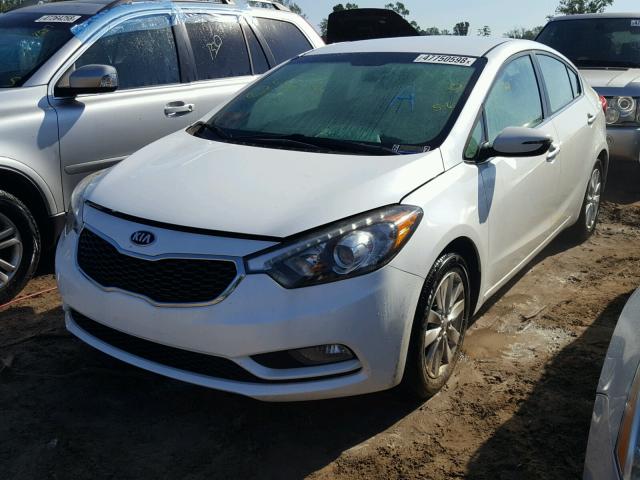 KNAFX4A8XE5051983 - 2014 KIA FORTE EX WHITE photo 2