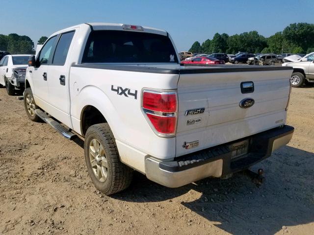 1FTFW1EF6DKE50323 - 2013 FORD F150 SUPER WHITE photo 3