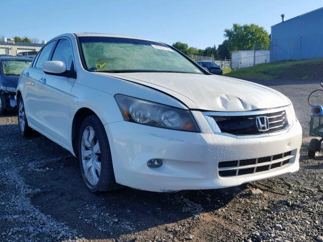 1HGCP368X8A012039 - 2008 HONDA ACCORD EXL WHITE photo 1