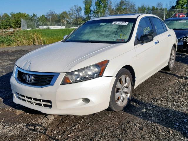 1HGCP368X8A012039 - 2008 HONDA ACCORD EXL WHITE photo 2