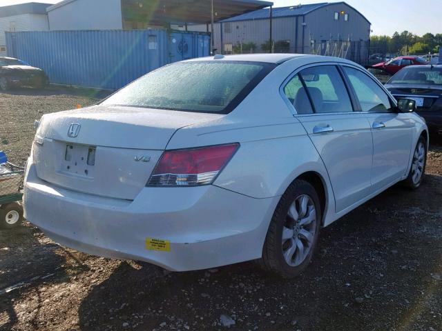 1HGCP368X8A012039 - 2008 HONDA ACCORD EXL WHITE photo 4