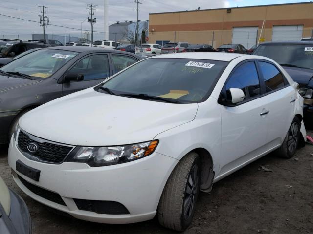 KNAFU4A27D5718768 - 2013 KIA FORTE EX WHITE photo 2