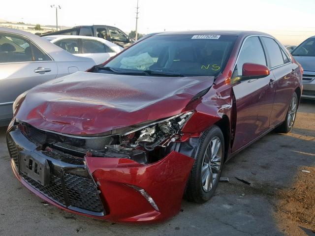 4T1BF1FK5HU790806 - 2017 TOYOTA CAMRY LE RED photo 2