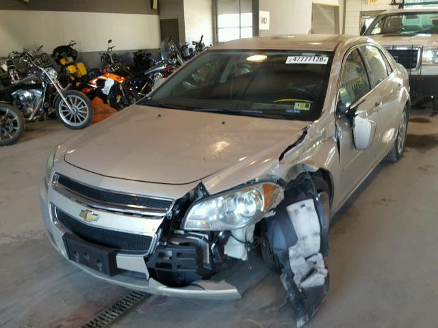 1G1ZC5E01AF205533 - 2010 CHEVROLET MALIBU 1LT GOLD photo 2