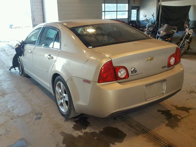1G1ZC5E01AF205533 - 2010 CHEVROLET MALIBU 1LT GOLD photo 3