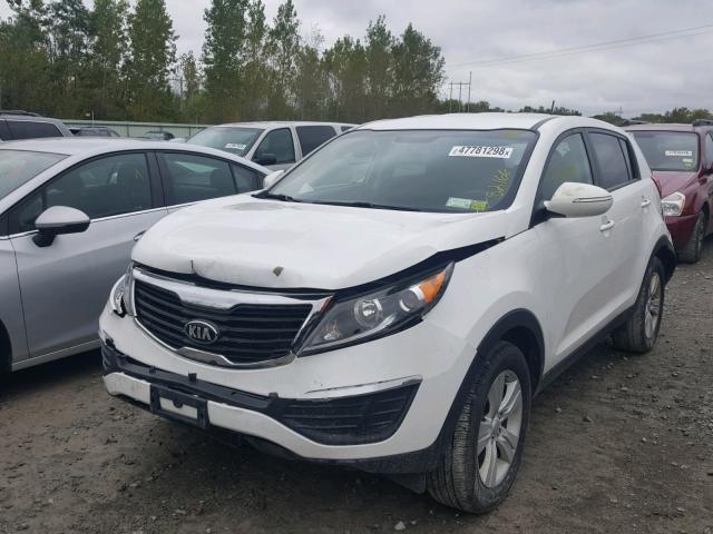 KNDPB3A28D7495135 - 2013 KIA SPORTAGE B WHITE photo 2