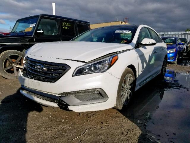 5NPE34AF5FH247680 - 2015 HYUNDAI SONATA SPO WHITE photo 2