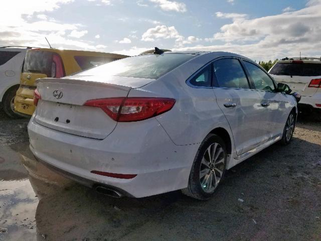 5NPE34AF5FH247680 - 2015 HYUNDAI SONATA SPO WHITE photo 4