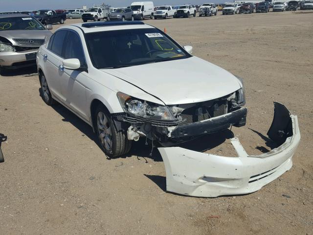 5KBCP3F80AB003511 - 2010 HONDA ACCORD EXL WHITE photo 1