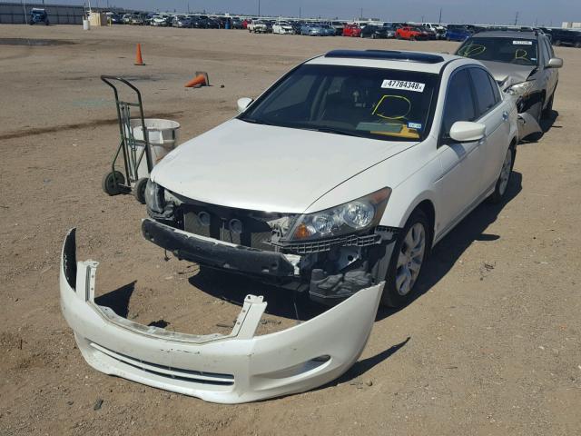 5KBCP3F80AB003511 - 2010 HONDA ACCORD EXL WHITE photo 2