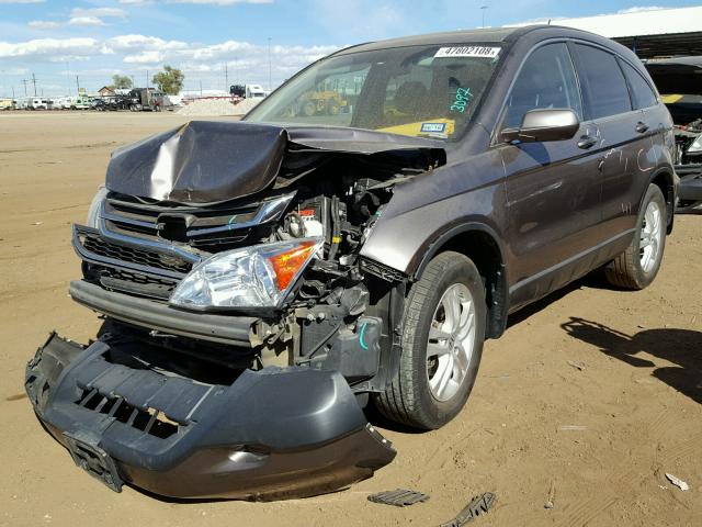 5J6RE4H74BL075510 - 2011 HONDA CR-V EXL BROWN photo 2