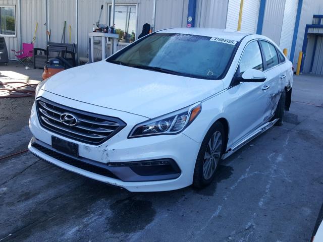 5NPE34AF6FH091374 - 2015 HYUNDAI SONATA SPO WHITE photo 2