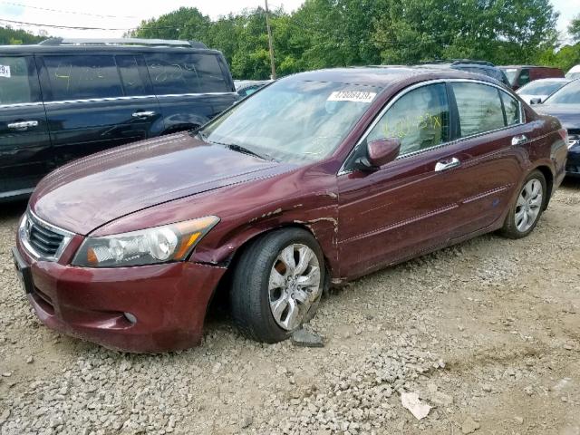 1HGCP36888A083322 - 2008 HONDA ACCORD EXL RED photo 2