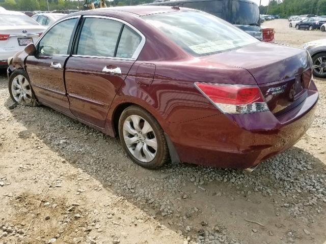 1HGCP36888A083322 - 2008 HONDA ACCORD EXL RED photo 3