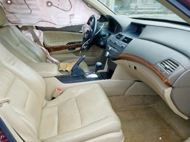 1HGCP36888A083322 - 2008 HONDA ACCORD EXL RED photo 5