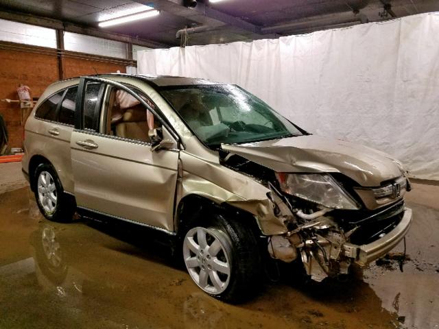 5J6RE48739L007144 - 2009 HONDA CR-V EXL GOLD photo 1